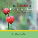 Luster of Everyday Things