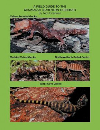 Field Guide to the Geckos of Northern Territory