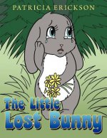 Little Lost Bunny