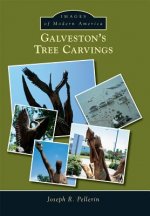 Galveston S Tree Carvings