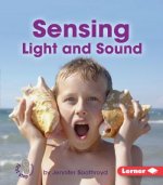 Sensing Light and Sound