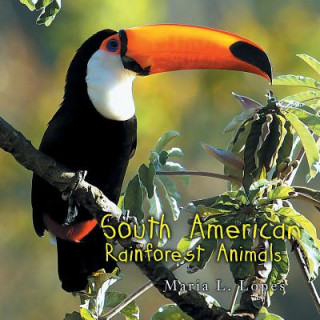 South America Rainforest Animals
