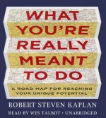What You Re Really Meant to Do: A Road Map for Reaching Your Unique Potential