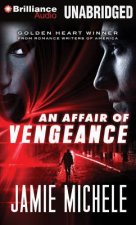 An Affair of Vengeance