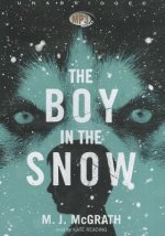 The Boy in the Snow