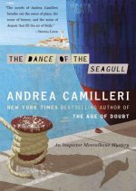 The Dance of the Seagull