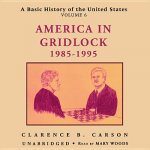 A Basic History of the United States, Vol. 6: America in Gridlock, 19851995