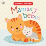 Mamas y Bebes: Explora los Animalitos