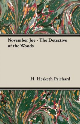 November Joe - The Detective of the Woods