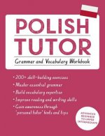 Polish Tutor: Grammar and Vocabulary Workbook (Learn Polish with Teach Yourself)