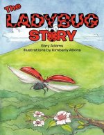 Ladybug Story