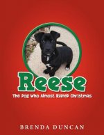 Reese - The Dog Who Almost Ruined Christmas
