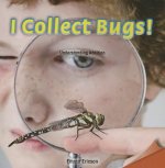 I Collect Bugs!: Understanding Addition