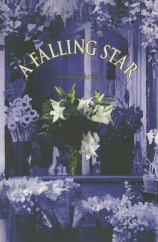 Falling Star
