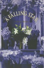 Falling Star