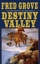 DESTINY VALLEY