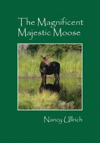 Magnificent Majestic Moose