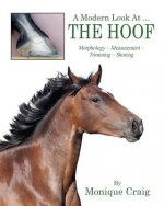 Modern Look At ... THE HOOF