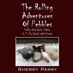 Rolling Adventures of Pebbles