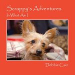 Scrappy's Adventures