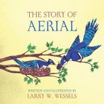 Story of Aerial