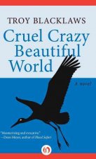 Cruel Crazy Beautiful World