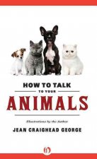 How to Talk to Your Animals