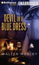 Devil in a Blue Dress