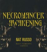 Necromancer Awakening