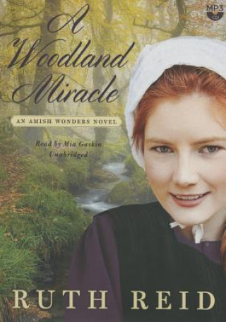 A Woodland Miracle: An Amish Wonders Novel