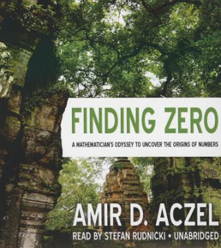 Finding Zero: A Mathemetician S Odyssey to Uncover the Origins of Numbers