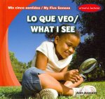 Lo Que Veo / What I See
