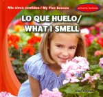 Lo Que Huelo / What I Smell