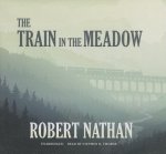 The Train in the Meadow