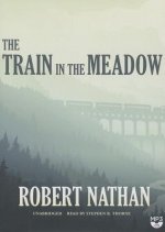 The Train in the Meadow