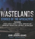 Wastelands: Stories of the Apocalypse