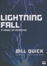 Lightning Fall: A Novel of Disaster