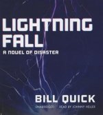 Lightning Fall: A Novel of Disaster