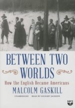 Between Two Worlds: How the English Became Americans