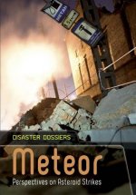 Meteor: Perspectives on Asteroid Strikes