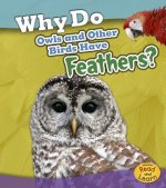 Why Do Owls and Other Birds Have Feathers?