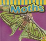 Moths