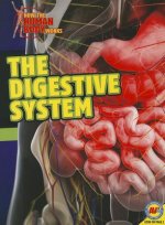 The Digestive System