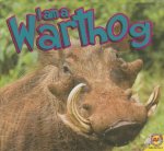 I Am a Warthog