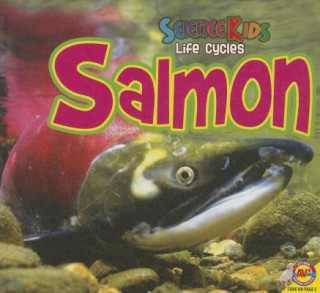 Salmon