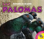 Las Palomas