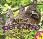 El Perezoso