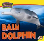 Baiji Dolphin