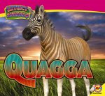 Quagga