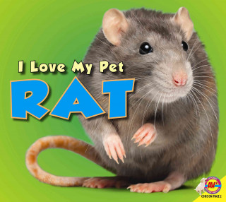 Rat